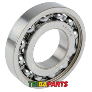 Підшипник 16004 / 420581 (SKF)